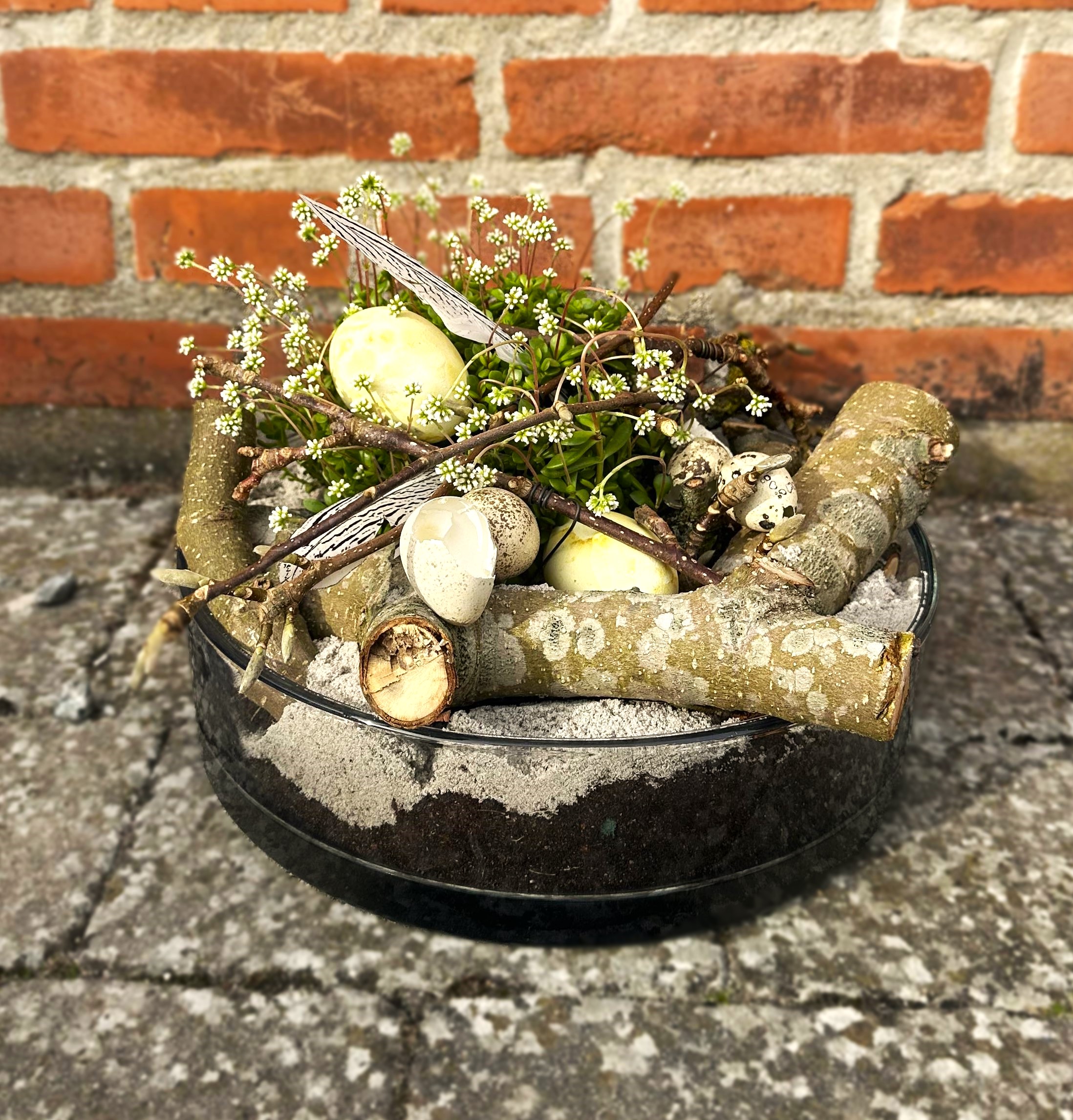 Indendørs sommer sammenplantning med husløg og kaktus i forskellige arter. 