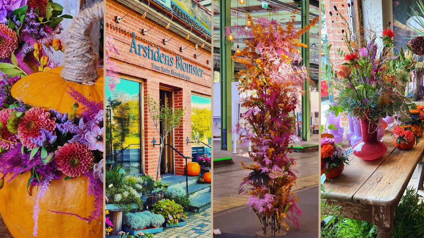 Et billede af butiksfacaden Årstidens Blomster Helsinge, orange græskar fyldt med blomster, en blomstersøjle og et efterårsbord.