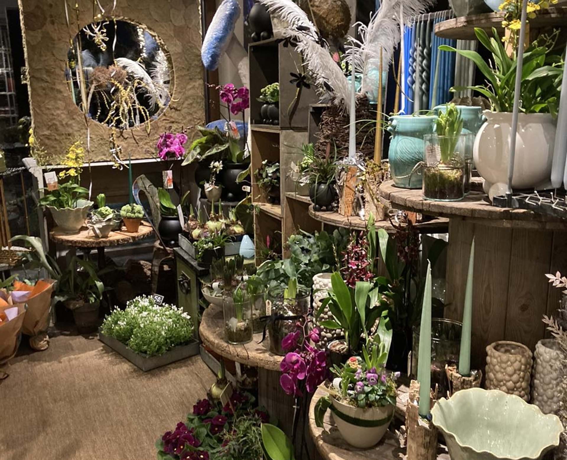 Pyntet butik med planter og blomster.