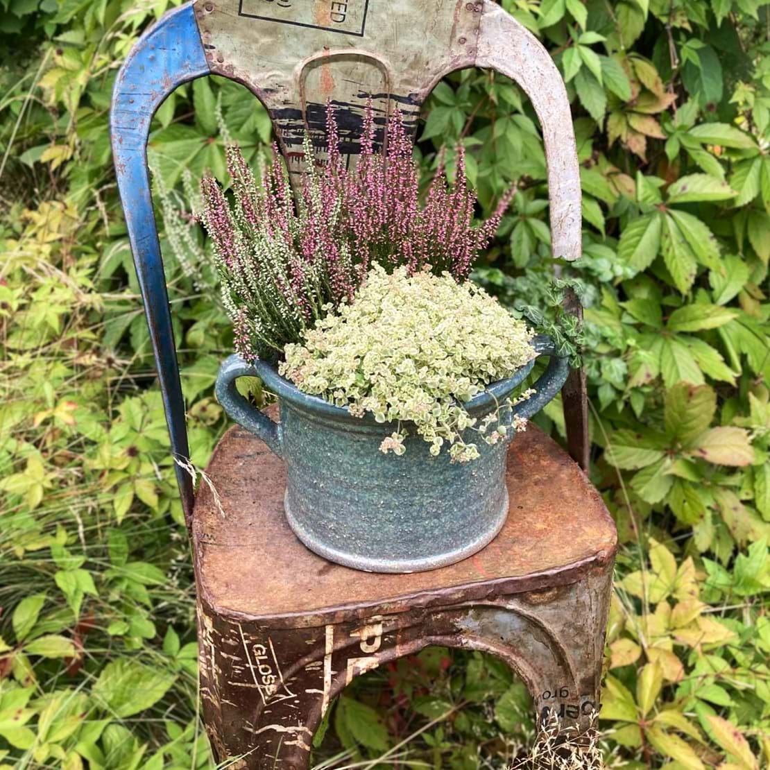 Udendørs plantedesign med efterårets friske planter.