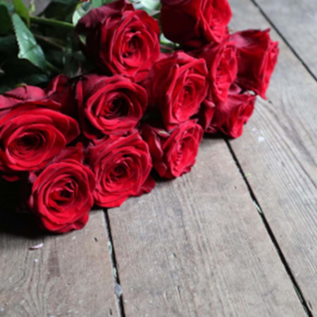 Smukke røde roser ligger på en et rustikt plankebord.