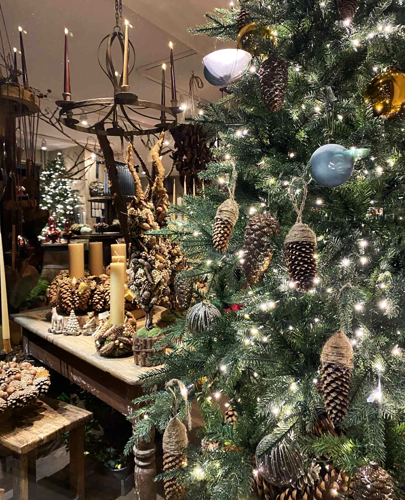 Facaden af Årstidens Blomster i Helsinge, med planter og blomster foran butikken. 