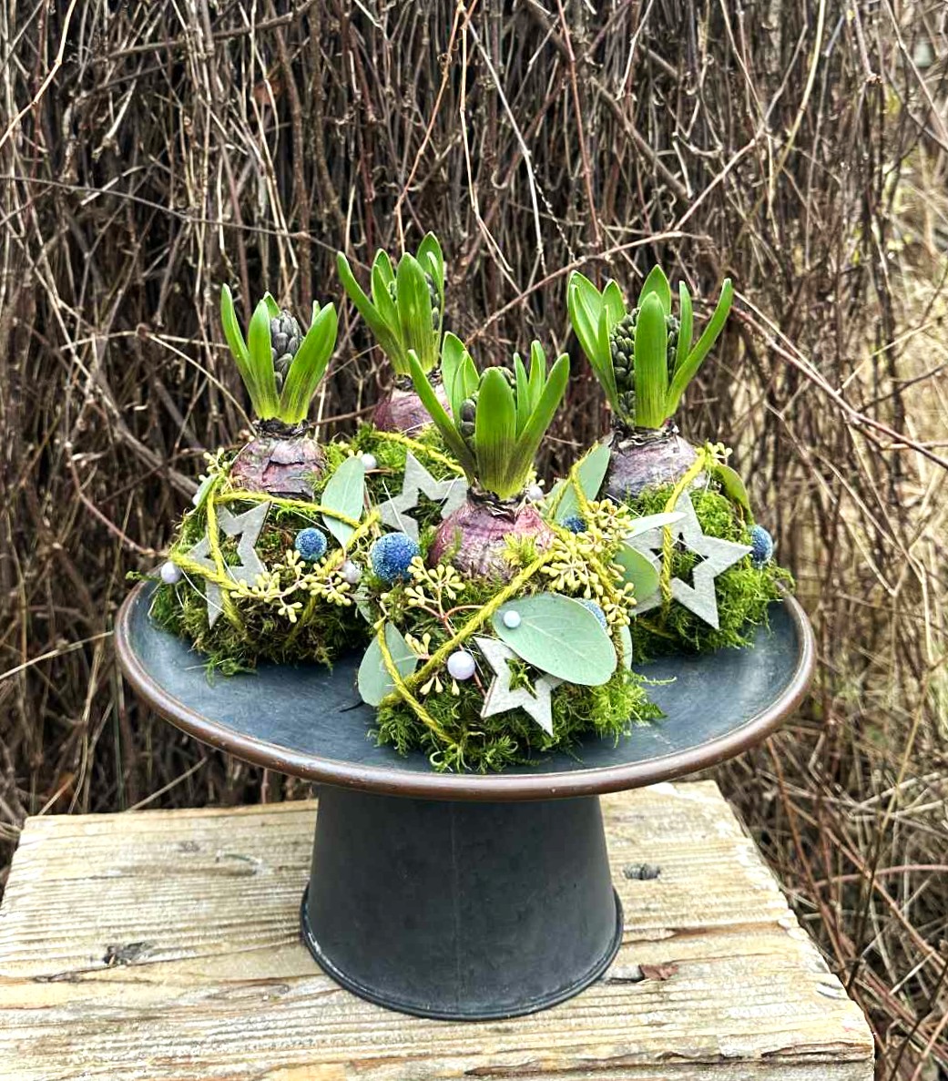 Et fad med hyacintdekorationer står på en taburet af træ.